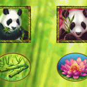 rich_panda_symbols_set-1_2